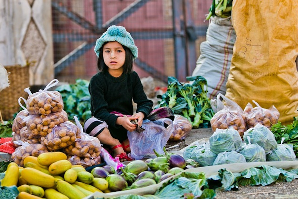 Lessons from five cities on urban food policy Biology Diagrams