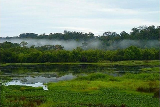 Cat Tien National Park