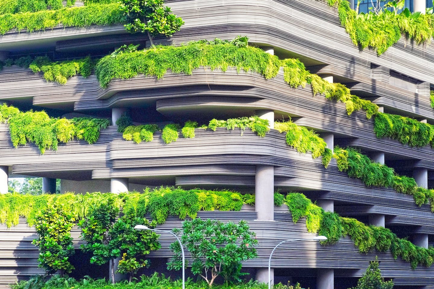 Green Buildings Singapore S Natural Ally In Climate Change Fight Opinion Eco Business Asia Pacific