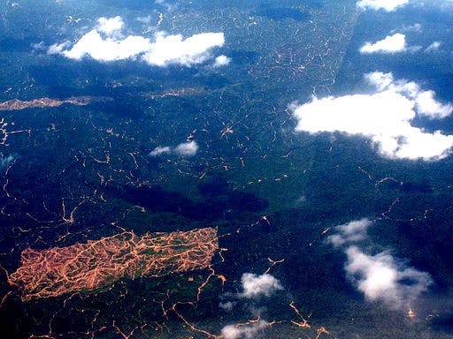 sabah palm oil aerial