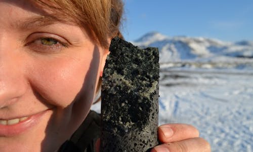 Scientists in Iceland power plant turn CO2 emissions into stone