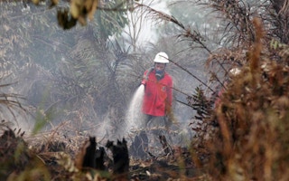 Riau forest fires