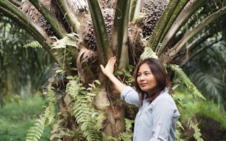 46 year-old former bank manager and mother of two Pornsiri Raknukul now runs her own RSPO-certified palm oil plantation in Southern Thailand. Image: RSPO