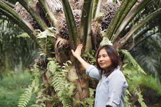 46 year-old former bank manager and mother of two Pornsiri Raknukul now runs her own RSPO-certified palm oil plantation in Southern Thailand. Image: RSPO