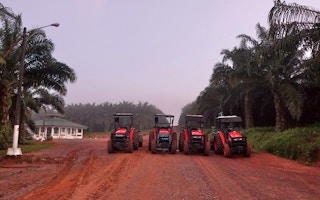 palm oil Cargill