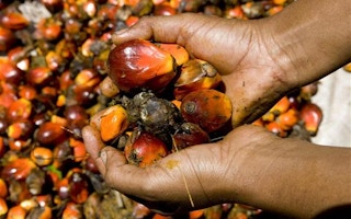 L'Oreal and sustainable palm oil
