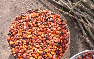 palm oil production2
