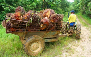 palm worker