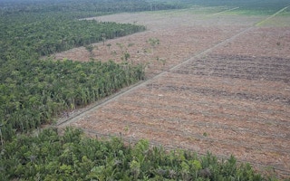 deforestation by agri