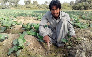 Pakistani farmer Moeez