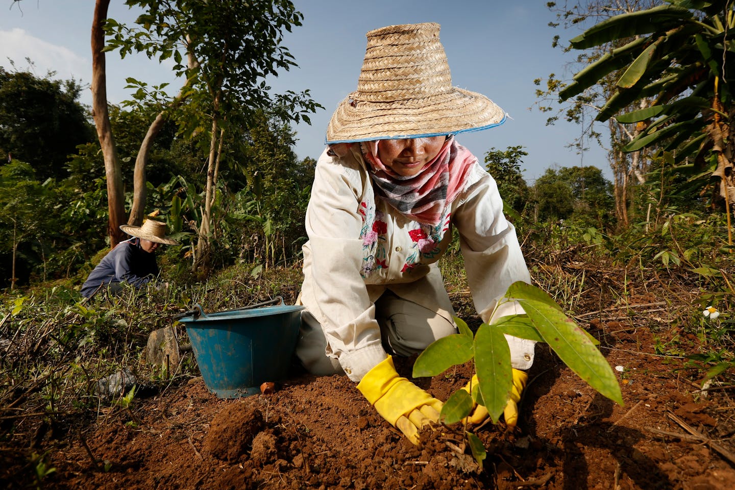 accor plant for the planet