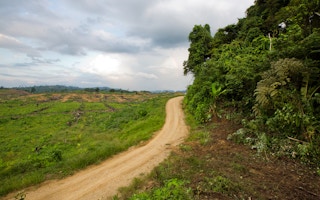 RAN photo deforestation lesuer