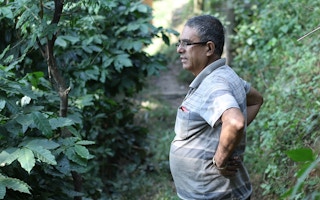 Nepali coffee farmer