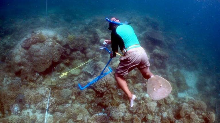 Philippines' New Marine Protected Area Includes Community-led ...