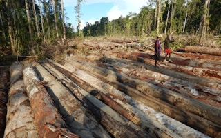 felled logs in PNG province