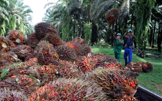 Malaysian palm oil