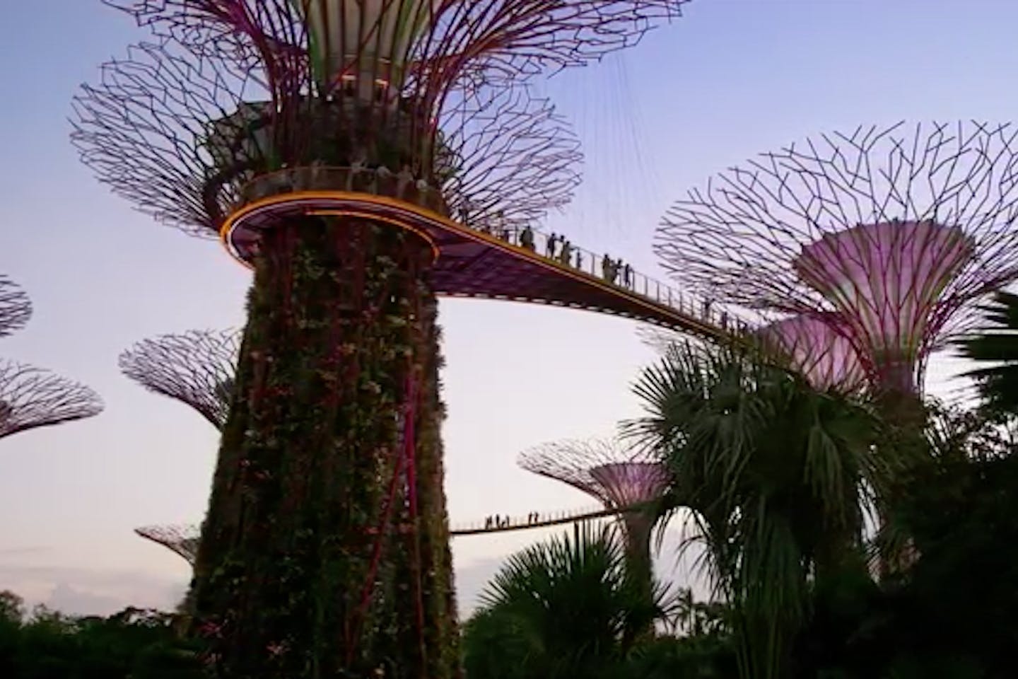 Super Trees at Gardens by the Bay, Singapore. Image: BBC's Planet Earth II: Cities