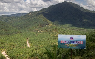 tdm bhd oil plantation estate