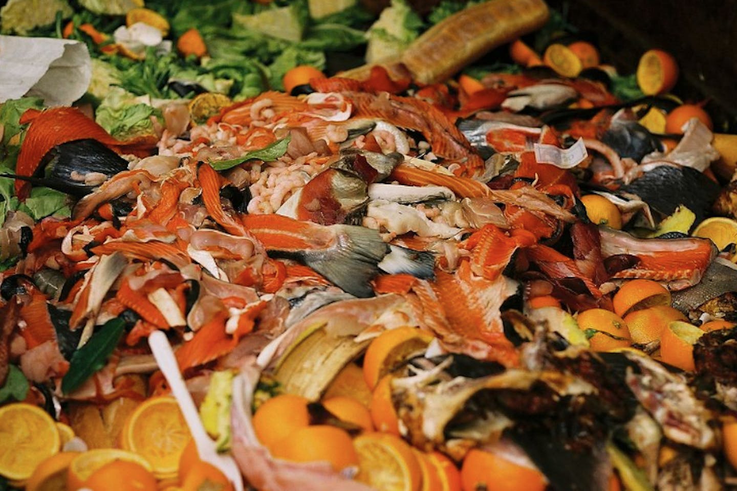 food waste2