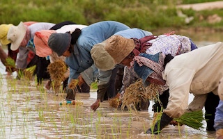 cambodian farmers3