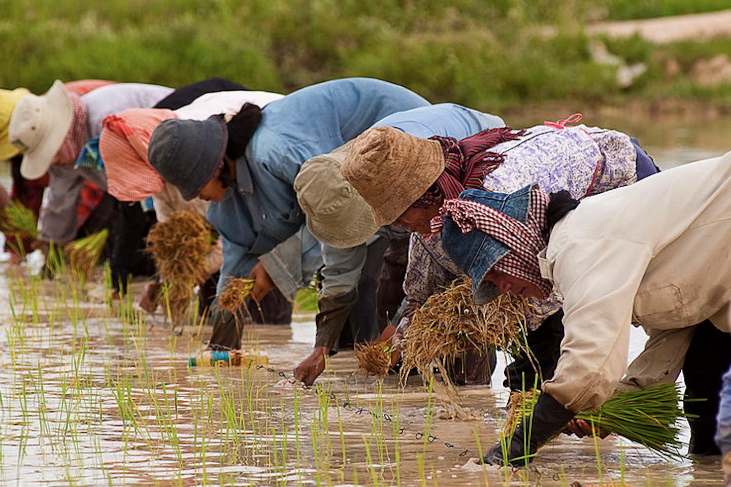 cambodian farmers3