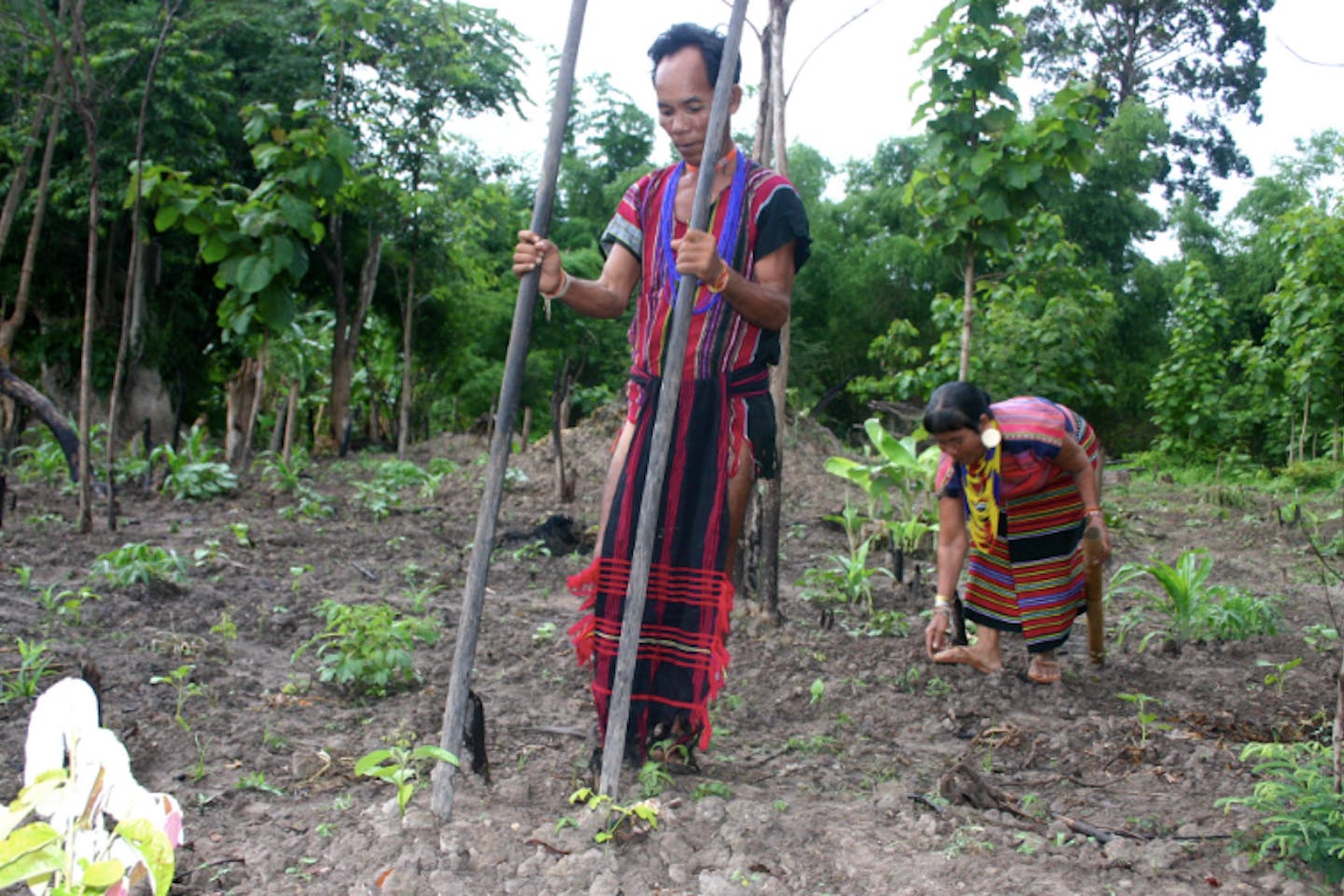 indigenous people2
