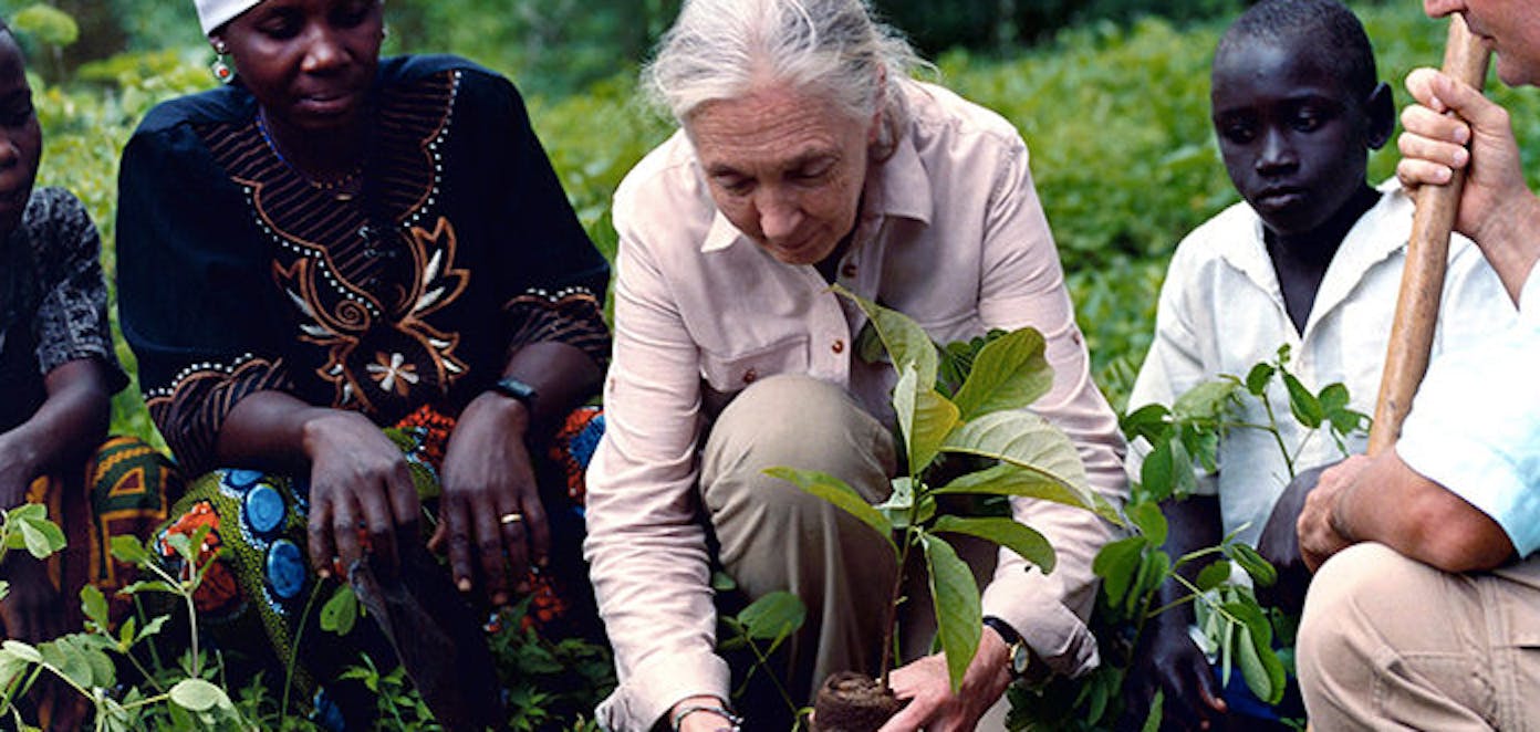 Jane Goodall Good for All News