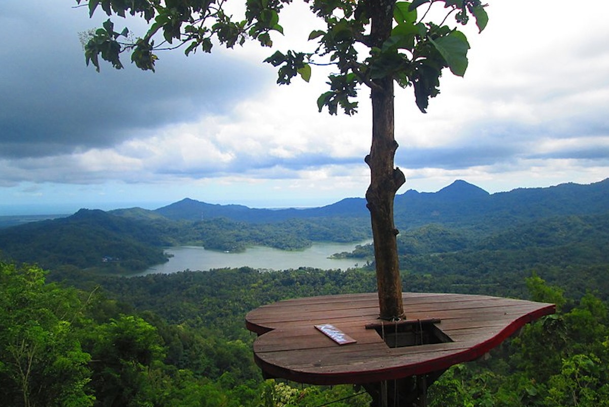 On the island of Java, a social forestry scheme creates jobs at home ...