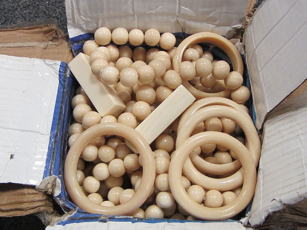 siezed ivory