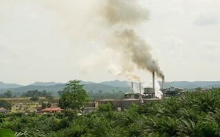 palm oil refinery
