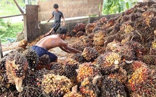 palm oil plantation workers