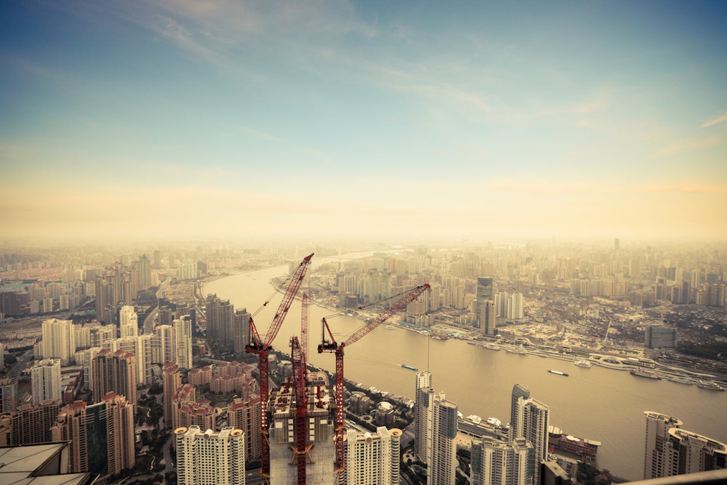 Shanghai cranes