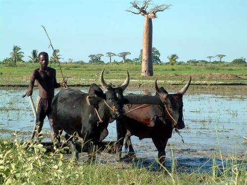 Water security in Africa