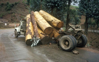 timber cn kunming