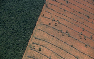 brazil deforestation aerial