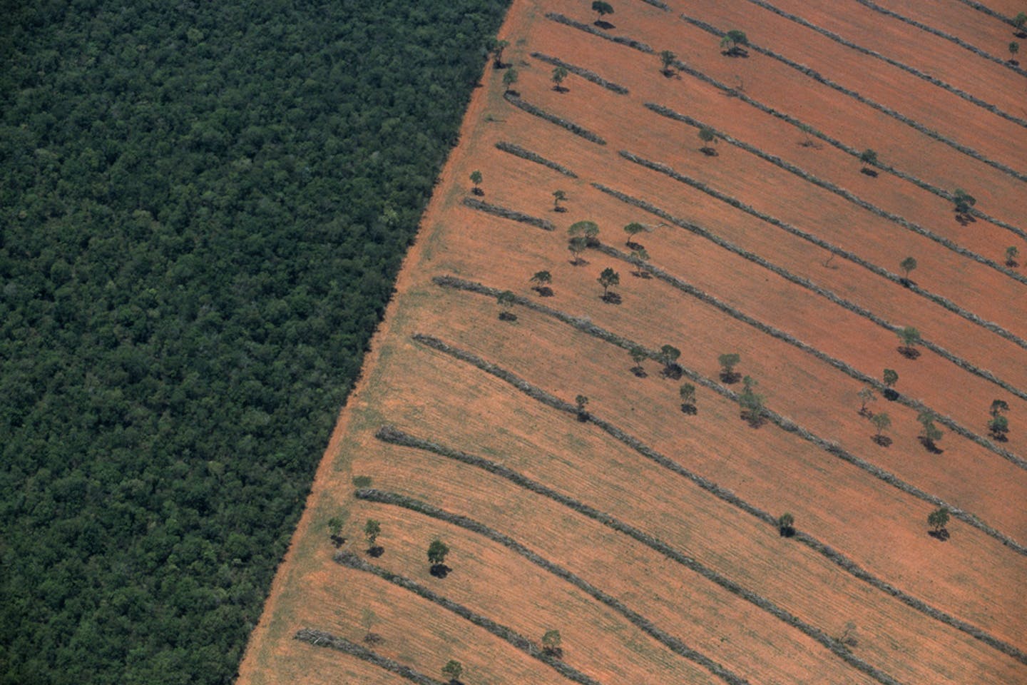 brazil deforestation aerial
