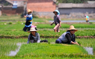women farmers china