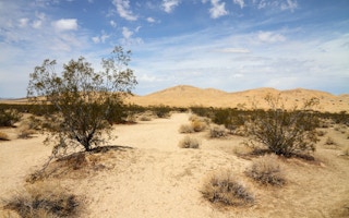 California desertification