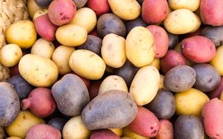 colourful potatoes