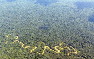 amazon rainforest river ecuador