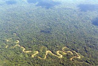 amazon rainforest river ecuador