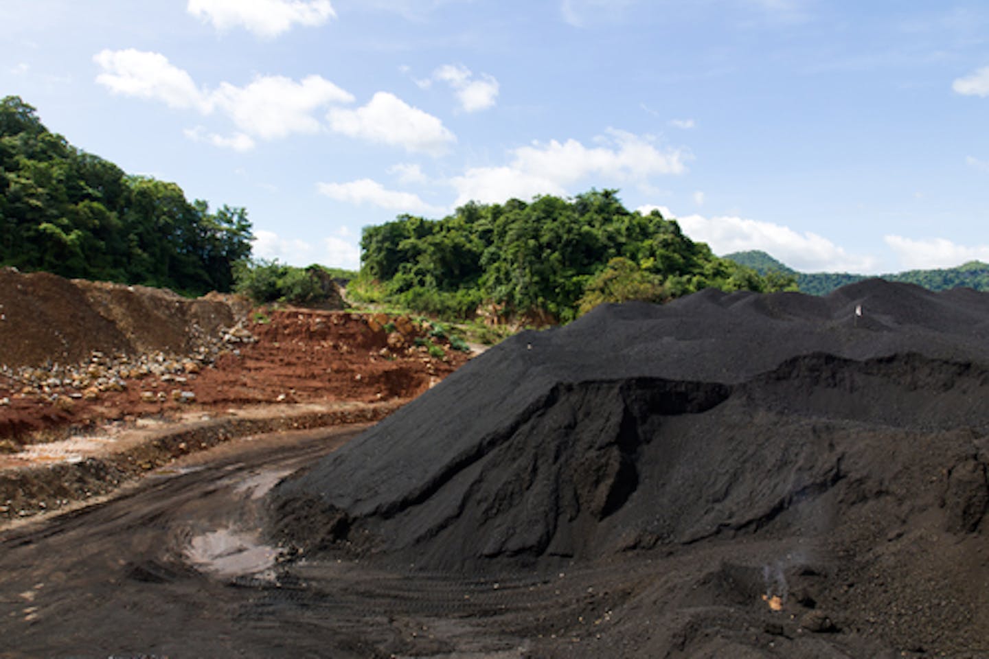 Mining in forest