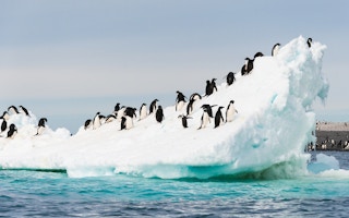 antarctic melt floating ice