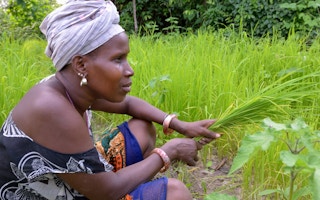 african women farmers
