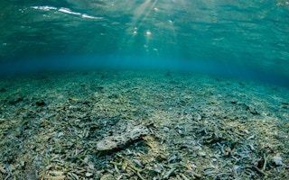 Ocean degradation