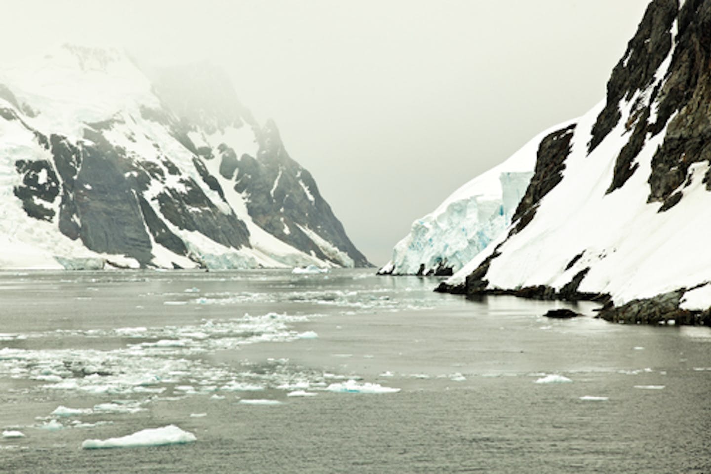 iceberg melting antarctic
