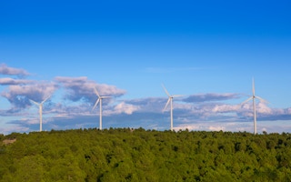 forests and clean energy