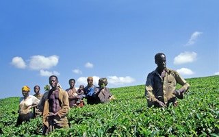 africa farmers