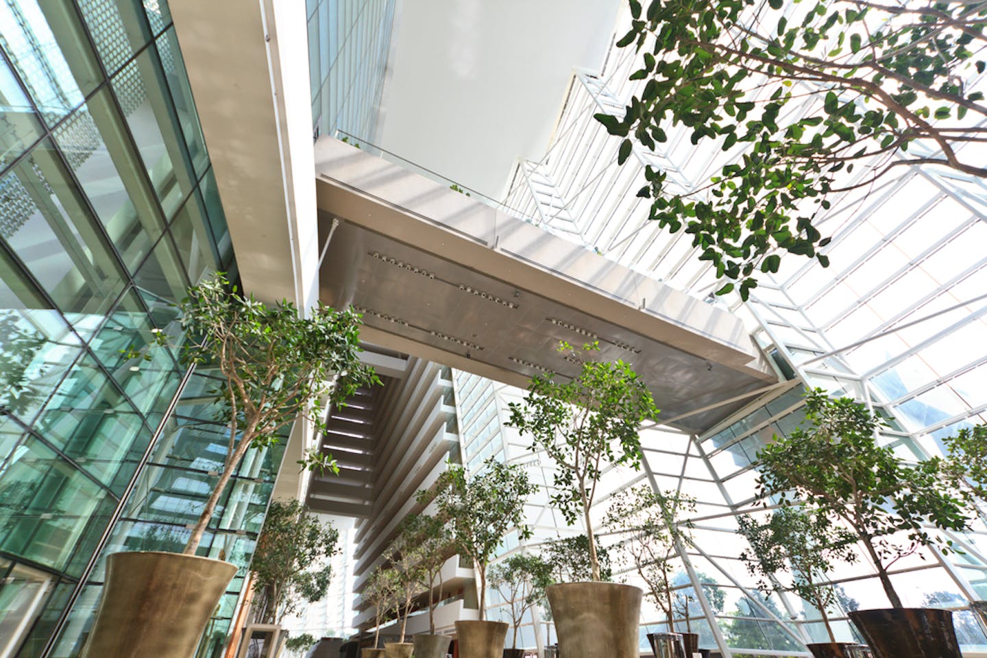 MBS interior