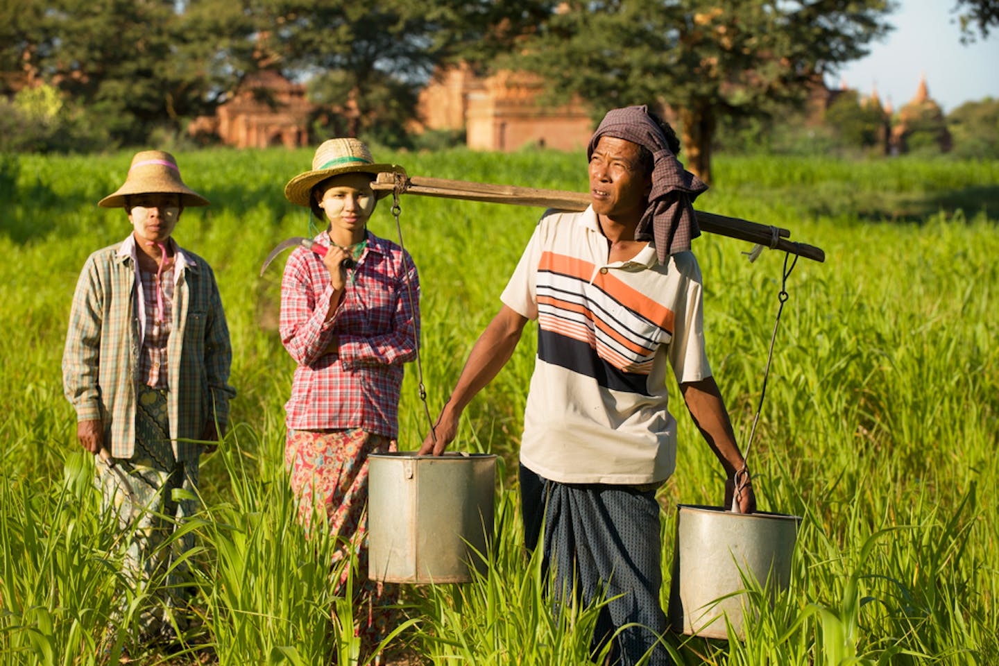asia agri csr